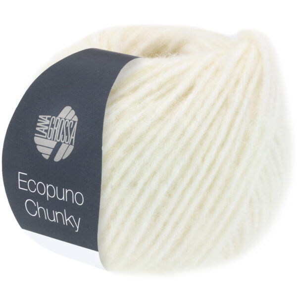 ecopuno chunky lana grossa 14310111 K