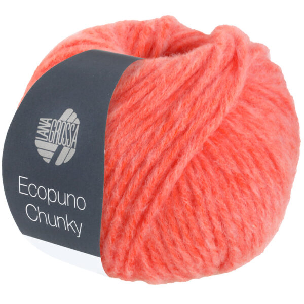 ecopuno chunky lana grossa 14310127 K