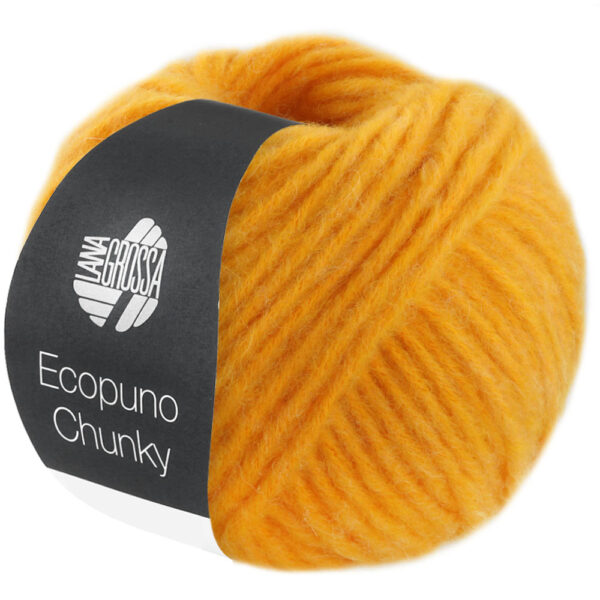 ecopuno chunky lana grossa 14310136 K