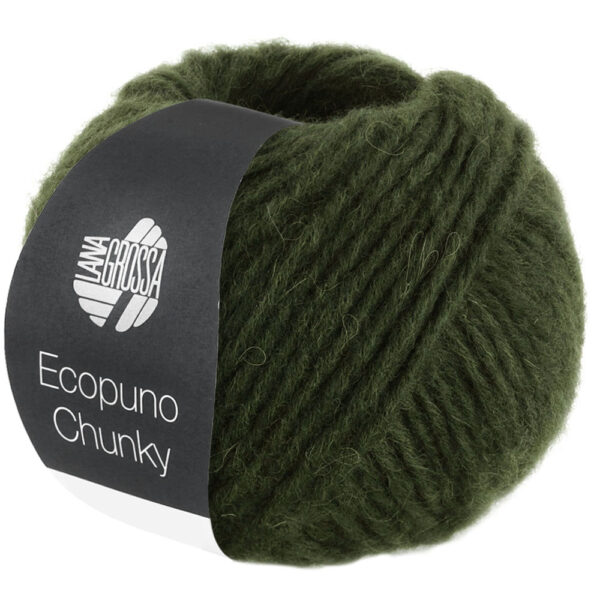 ecopuno chunky lana grossa 14310138 K