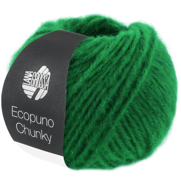 ecopuno chunky lana grossa 14310139 K