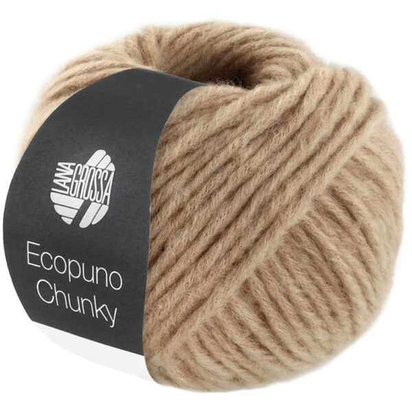 ecopuno chunky lana grossa 14310141 K