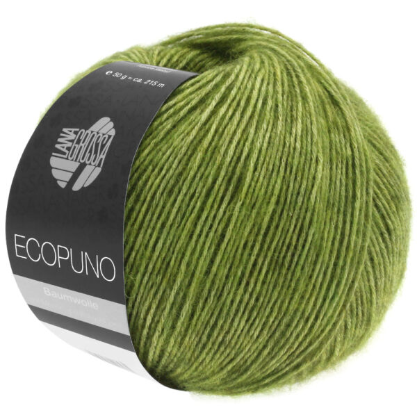 ecopuno lana grossa 13310002 K