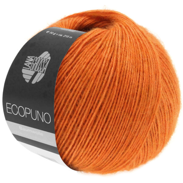 ecopuno lana grossa 13310005 K