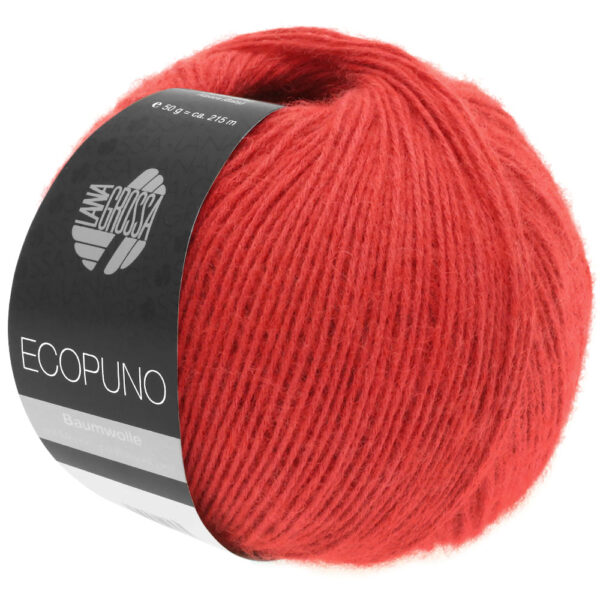 ecopuno lana grossa 13310006 K