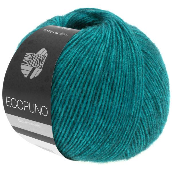 ecopuno lana grossa 13310012 K