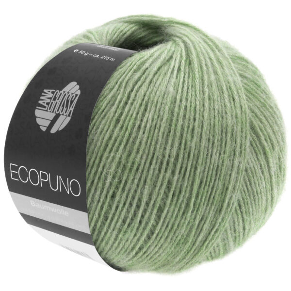 ecopuno lana grossa 13310020 K