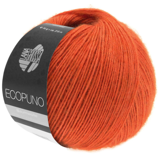 ecopuno lana grossa 13310034 K