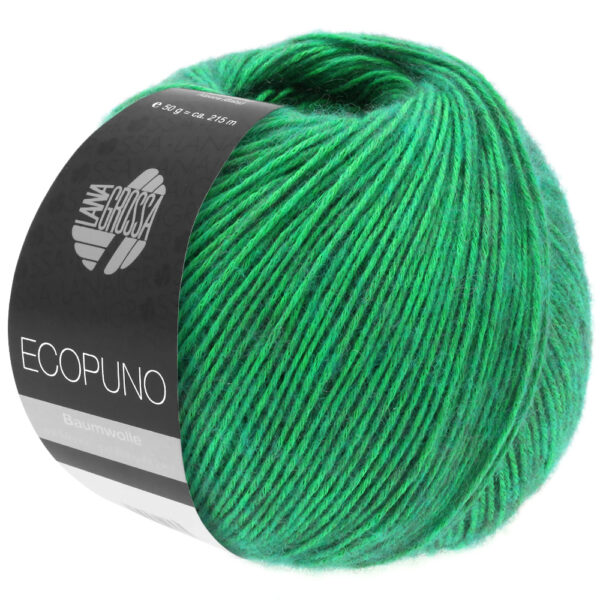 ecopuno lana grossa 13310041 K