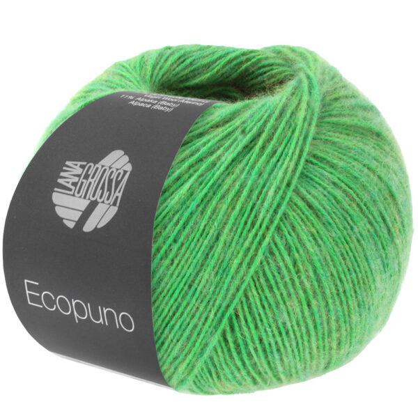 ecopuno lana grossa 13310087 K